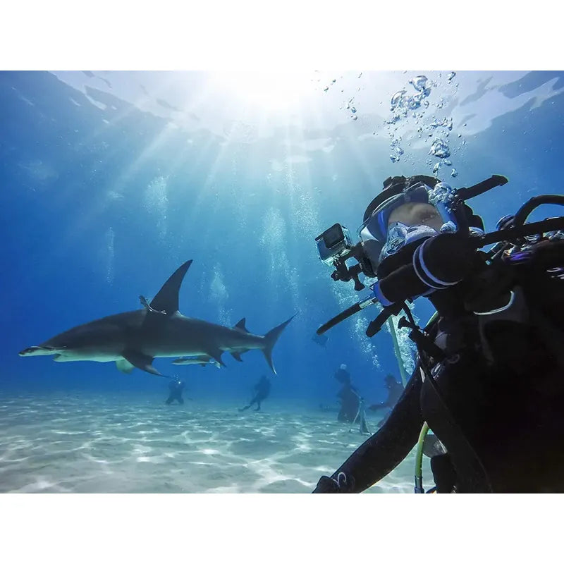 Carcasa Buceo Gopro Hero 8 Black, (60 Metros Bajo El Agua)