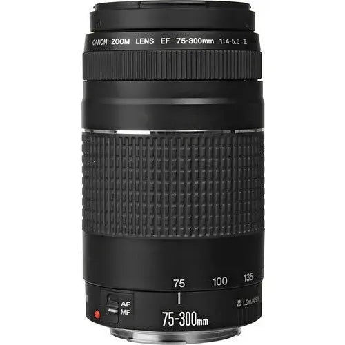 Canon Eos 850d (rebel T8i)+ 18-55mm Stm Lens+ Ef 75-300mm