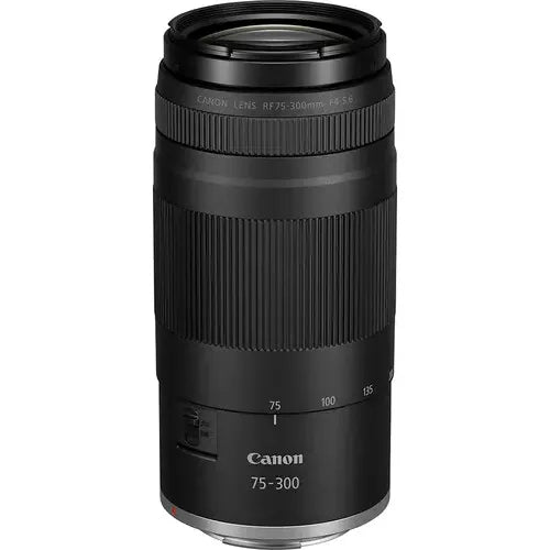 Camara Digital Canon Eos R100 Doble Zoom Kit Negro