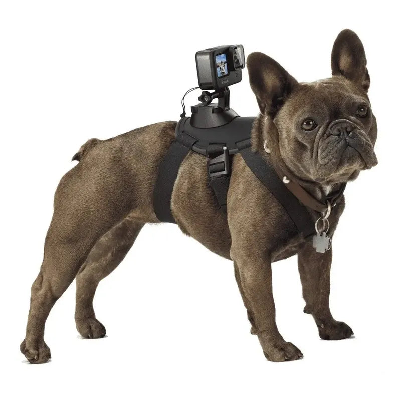 Gopro Pechera Arnés Mascota Dog Cámara