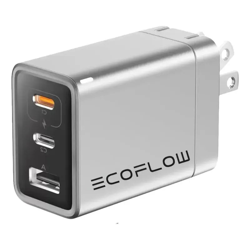 Cargador Ecoflow Rapid De 65w + Cable Usb-c 100w Gris