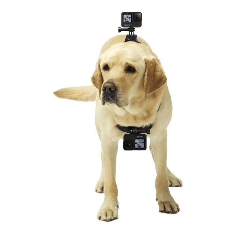 Gopro Pechera Arnés Mascota Dog Cámara