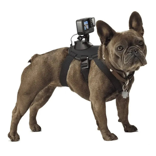 Gopro Pechera Arnés Mascota Dog Cámara