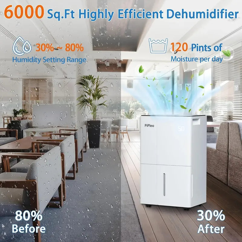 Deshumidificador Eléctrico Pipleo Hogar Y Oficina 550 Mts2